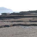 공룡 발자국화석지 이미지