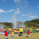 경주동궁원 이미지