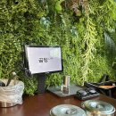 정'양호텔 - 10250 | 정'양호텔