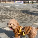 옐레드 시흥은계호수점 이미지