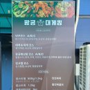 강릉 대게 맛집, 왕궁 대게킹 수율이 정말로 100%