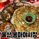 울산마약육전 | 울산에서 느끼는 여수 포장마차 #용마야시장 내돈내산 후기