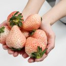 주식회사 퍼밋 이미지