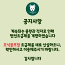 멍멍플레이스펜션 이미지