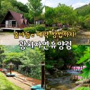 양구 캠핑장 추천 광치자연휴양림 숲나들e 예약 방법
