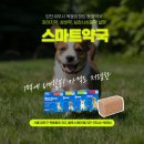 양천동물약국 이미지