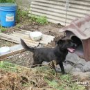 가평해피하우스 이미지