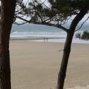 대변해변2 이미지