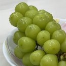 보령참숯갈비