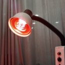 보은성심의원 이미지