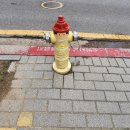 샐러디논현역점 이미지