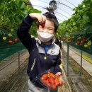 초평초교 병설유치원 이미지