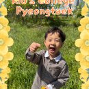 자연유치원 | 평택 고덕 영어유치원 추천! IB식 자연탐구 영어수업 ‘Spring Frame’ 후기