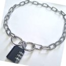 제이제이펫 이미지