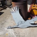 동송노인복지센터 이미지