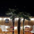 토토의 바다 이미지