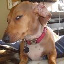 깨순이칼국수 | 이제 너무 추워졌다 가을을 꺼내보자