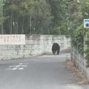 쉬다 家