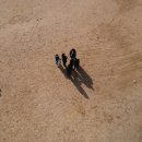 연한가지공동체 이미지