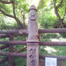 생이소리 이미지