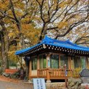 현천마을 이미지