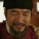 뿌리깊은나무 이미지