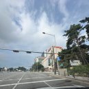 [코스트코 핫딜] 코스트코 8월 둘째주 주간할인상품정보 (8월 5일 ~ 8월 11일)
