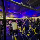 올레짐 피트니스 이미지