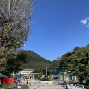 언능오소한우사랑 이미지