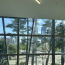 플러스펫 이미지