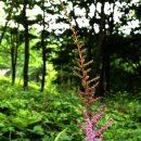 고한4길 이미지