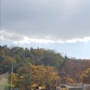 은해로운 캠핑장 이미지