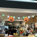 디오레 | 역 브런치(Breakfast Story Asok), 짜뚜짝시장, 레라오, 디오스파, 렘브란트호텔 수영장, 더비빔밥...