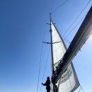 아그리나 D 이미지