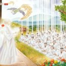 삼신플라워