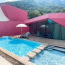 프라이빗핑크트리 이미지