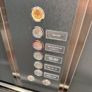 꽃, 이어라 | LG 베스트샵 플래그십 D5 방문! (feat. 강남본점) - 상담 방문 후기 (이어라 명예대명장)💍👰🤵