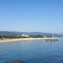 마이오리진 이미지