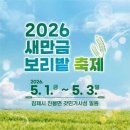 천년보리