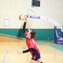 만천초등학교 이미지