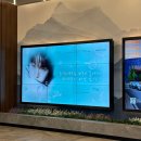 탐네오 | 251009 도영콘 yours 첫콘 후기로그🪽🍀