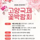 데이맘