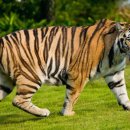 창의미술(6~7세) 이미지