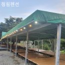 청림펜션 | 당일치기 수상레저 물놀이 청림펜션 내돈내산 후기