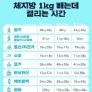 점핑제이 이미지