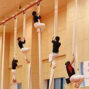 용인대 중앙 유도관 이미지