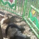 반달농장 이미지