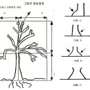 HTP검사의 나무그림 해석 이미지