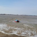 대부해솔길 6코스 이미지