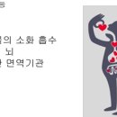원정탕 이미지